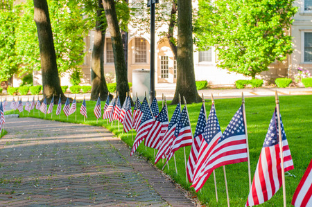 Memorial Day tribute. American flags spread on lawn of public park as part of Memorial Day celebration.の写真素材