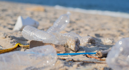 Trash and used plastic bottles on the beach. Environmental pollution. Ecological problem, rubbish on...