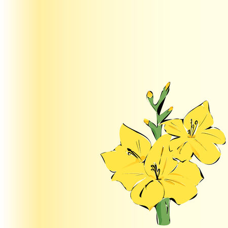 Colorful gladiole on the light yellow background suitable for cards, wedding invitation etc の写真素材