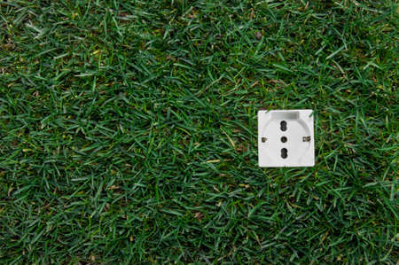 Green grass and green energyの写真素材