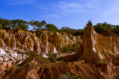 Earth of Africa - The Cradle of Humanity - Kenyaの写真素材