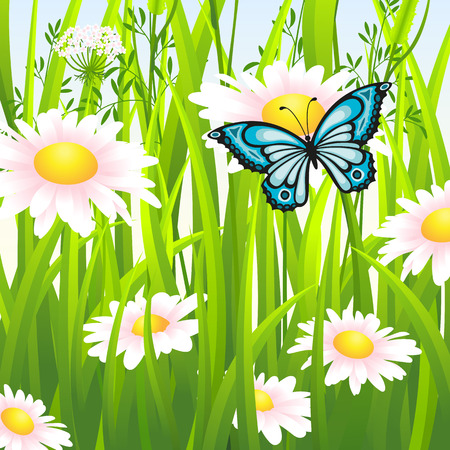 Flower meadow in summer with butterflyのイラスト素材