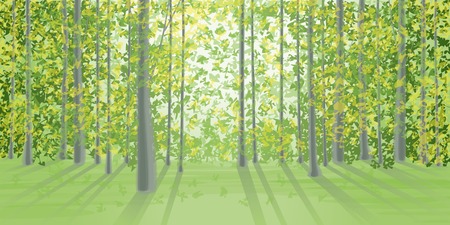 Summer landscape in the dense forestのイラスト素材