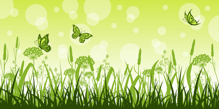 Summer meadow with flowers and butterfliesのイラスト素材