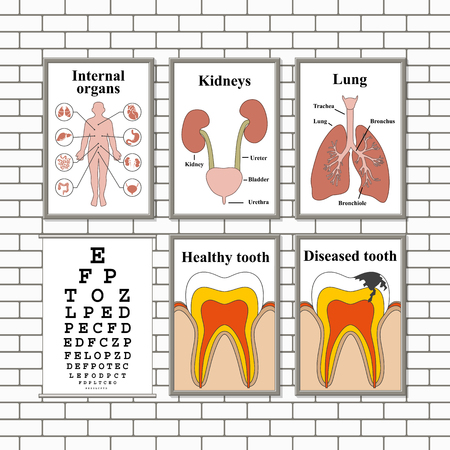Illustration of medical pictures on a wallのイラスト素材