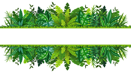 Illustration of a tropical rainforest bannerのイラスト素材