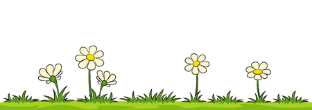 Flowers on a meadow against white backgroundのイラスト素材
