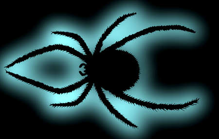 the abstract image - a poisonous spider (Latrodectus mactans tredecimguttatus) soft illumination; a black background. の写真素材