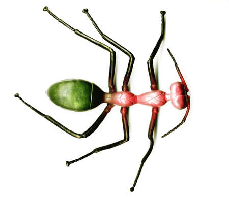 nt; a beautiful toy on a white background. Bright colors; high contrast; a wide spectrum of use.の写真素材