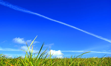 Our planet, a juicy green grass is beautiful, bright ãîëóáîê the sky, easy clouds and only a trace of the jet plane gives out presence of a modern civilization.       の写真素材