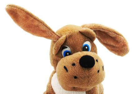 Fragment of soft toy, a doggy listens an environment attentively. Large ears and sad look. Object on a white background. の写真素材