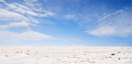 Landscape, snow field, easy clouds are blue sky, frosty sun day.の写真素材