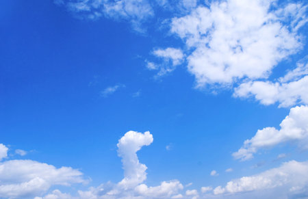 White cloud in the form of the head of dragon against the bright blue background of summer sky. 
