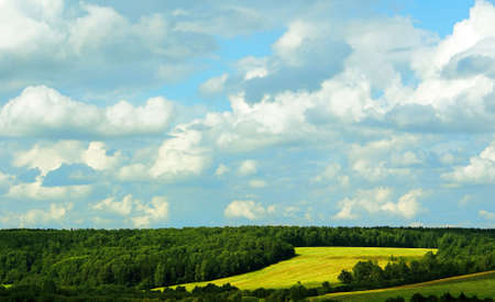 Paul, surrounded by coniferous forest, bright summer view. の写真素材