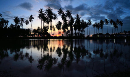 A beautiful sunset sees palm trees reflecting in a pool next to the beach on Ko Lanta, Thailandの写真素材