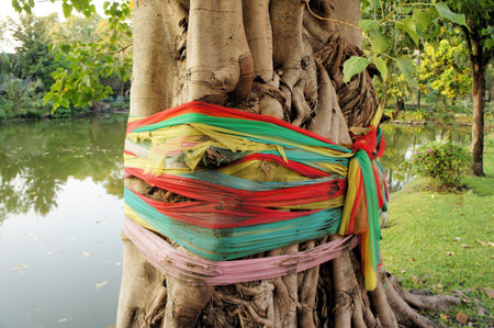 Tibetan Buddhist prayer flags are wound around a tree in Thailand