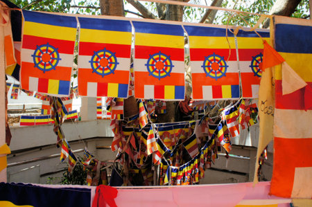 Buddhist flags wrapped around a Bodhi tree in Kandy, Sri Lankaの写真素材