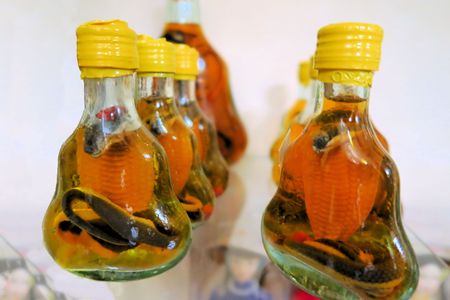 Bottles of famous scorpion liquor on sale in Saigon, Vietnamの写真素材