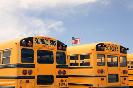 Number of typical American school busses in a row in the desert near Albuqerque, New Mexico