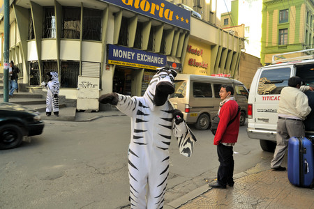 La Paz, Bolivia - 2012: Workers dressed as Zebras teach citizens the right way to cross the street using a Zebra styled crosswalk. La Paz had a bad track record for traffic accidents in the past. La Paz is the de facto capital of Bolivia.のeditorial素材