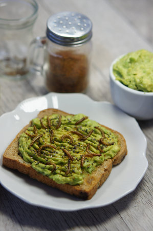 Sustainable breakfast with mealworms as an alternative source of protein.