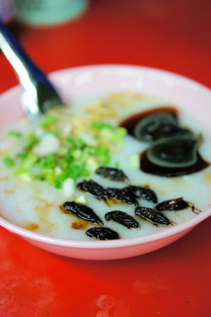 Rice Congee Asian Soup topped with chives, eggs, and cricketsの写真素材
