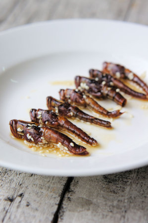 Roasted grasshoppers coated with honey and sesame seeds