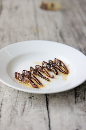 Roasted grasshoppers coated with honey and sesame seeds