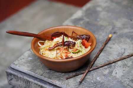 Grasshoppers, also known as chapulines, are an important part of traditional Thai foodの写真素材