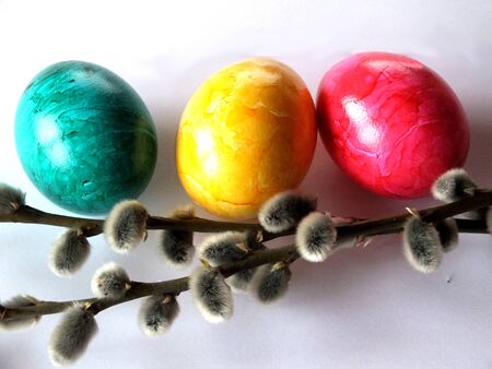 Three Eastereggs with two willow twigs Three Eastereggs with two willow twigs