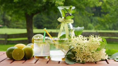 homemade summer drink of elderflower garnished with elderflower, lime, lemon; nice background shows natural gardenの写真素材