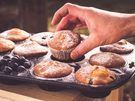 image shows a hand taking fresh baked muffin out of cupcake pan; situation is decorated with powdered sugar and blueberriesの写真素材