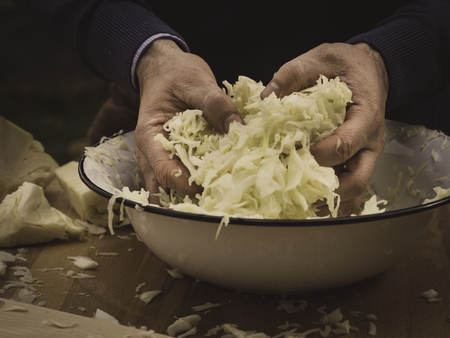 hnad mixing homemade organic sauerkraut for fermentationの素材 [FY31097944496]