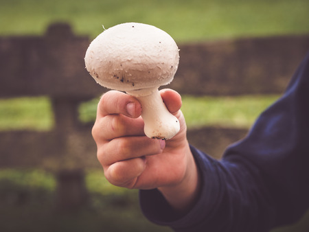 grow your own mushroomsの写真素材