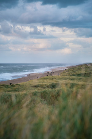 People walking on the beach of Vejlby Klit in Denmarkの写真素材