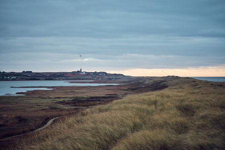 View over Vejlby Klit at the danish north sea coast