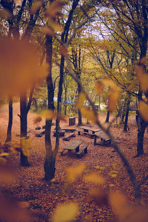 Free Forest Camping site in Denmarkの写真素材