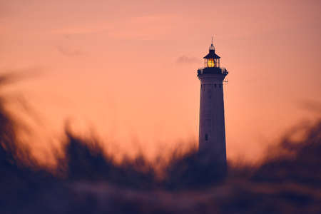 Lighthouse in warm morning glow above the dunesの写真素材