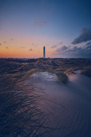 white sands and Lighthouse in the dunes of the danish north sea coastの写真素材