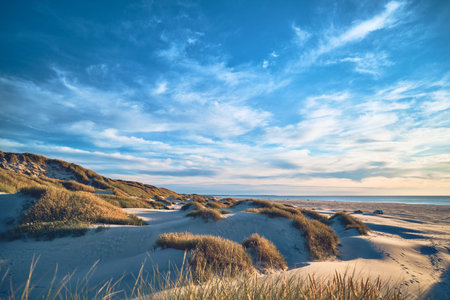 Wide Dunes at the danish north sea shore