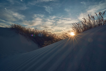 Sun shines through dune at the danish north sea coast