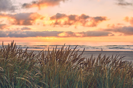 Sunset at the danish coast at Saltum Strandの写真素材