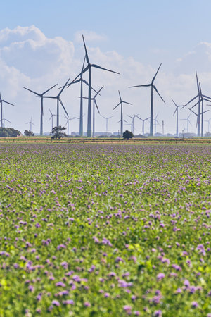 Wind park in northern Germanyの写真素材