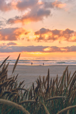people enjoying sunset at the coast in denmarkの写真素材