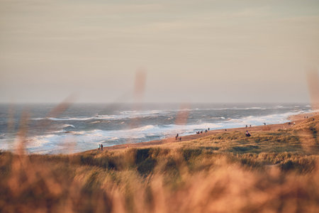 Sunset at the danish west coastの写真素材