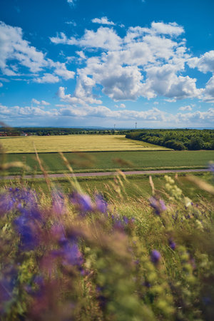 View over fields near Hannover, Germanyの写真素材