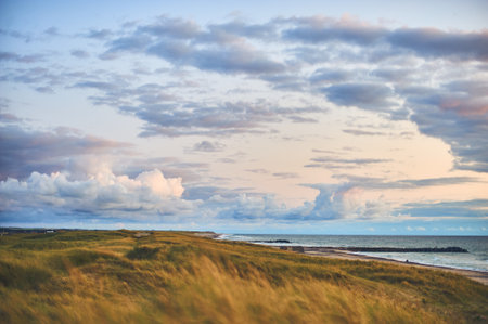 Cloudy evening over the Dunes in northern Denmarkの写真素材