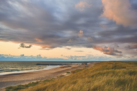 evening at wide beach at northern Denmarkの写真素材