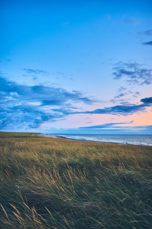 Dunes at the wide beach at northern Denmarkの写真素材