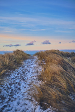 snowy pathway at the beach in denmark at eveningの写真素材